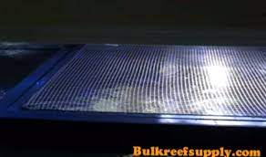 Pin On Aquarium Magic