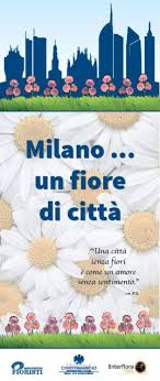 Gerber margherite bellissimi fiori arbusti da fiore mazzi di fiori bouquet da sposa fiori colorati rose gialle giardini colori vivaci. Milano Un Fiore Di Citta Grosse Sfere Di Margherite