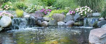 Pond definition, a body of water smaller than a lake, sometimes artificially formed the pond, informal. The Pond Guy Home Facebook