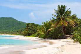 Find things to do near you. Puerto Rico Ein Land Voller Uberraschungen Urlaubsguru De