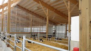 Inside The Progressive Calf Barn In Lake Mills Wi Cow House Cattle Barn Barn Layout
