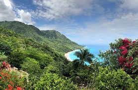 It shares a border with the republic of haiti, making it one of two caribbean islands that are split by two governments. The Hidden Dominican Republic Caribbean Travel