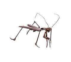 Maybe you would like to learn more about one of these? Japanese Meiji Era Praying Mantis Sculpture All The Decor