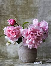 Obituary information for Rose Holmes Erwin