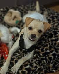 Ashley Sousa (@ashleyharvey1086) • Facebook