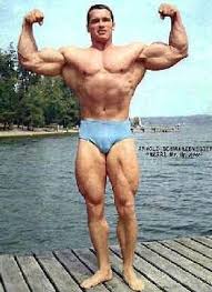 Arnold schwarzenegger at 16 years managed to achieve considerable results in bodybuilding. Pin On Bodybuilding