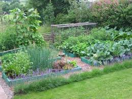 A Guide To Permaculture For The Beginners Permaculture Gardening Vegetable Garden Design Plants
