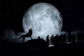 Don't be afraid of expressing your feelings freely, because it will increase your chances to reach emotional fulfillment. 28 January 2021 Wolf Moon In Leo How Does It Affect You