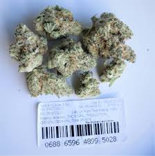 It has has a sugary taste and aroma, with a sweet scent that lingers. New Aeriz Strain Gorilla Cookies Iltrees