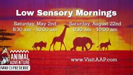 Low Sensory Morning
