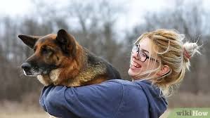 Learn about ways your pup shows love and signs your dog loves you. How To Make A Dog Love You 12 Steps With Pictures Wikihow