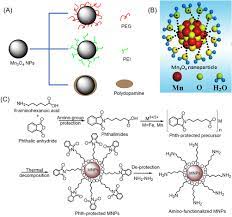 Potassium permanganate was used as the source for the production of manganese oxide. Manganese Oxide Nanoparticles As Mri Contrast Agents In Tumor Multimod Ijn
