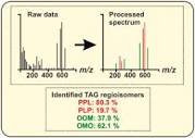 A novel UHPLC-ESI-MS/MS method and automatic calculation software ...