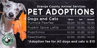 Orange county humane society is your local veterinarian in huntington beach serving all of your needs. Orange County Animal Services On Twitter Happy October From Ocas Spice Up The Season With Pet Adoptions For Only 10 For This Entire Month