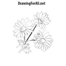 We did not find results for: How To Draw Flowers