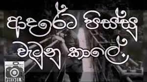 Asha dahasak band version sangeethe teledrama, asha dahasak mp3 download, asha dahasak band version song download, sangeethe telerdrama mp3 song, asha dahasak mp3, sangeethe. Mxtube Net Hithe Athi De Kiyaganna Dawasak Madi Mp4 3gp Video Mp3 Download Unlimited Videos Download