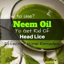 Pin On Lice Go Away