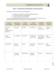 Lab 6 Prokaryotic Identification And Flow Charts