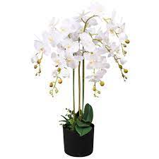 You Ll Love The Floor Flowering Orchid Plant In Pot At Wayfair Co Uk Great Deals On All Home D Eacute Cor Produ Artificial Orchids Artificial Flowers Orchids