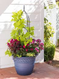 Maybe you would like to learn more about one of these? Small Gardeners Supply Company Verona Obelisk Patio Lawn Garden Plant Support Structures Malibukohsamui Com