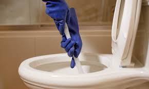 to unclog a toilet with poop in