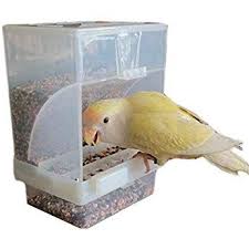 Bird Feeders For Small Birds Amazon Nbhbj Automatic Bird Feeder No Mess Bird Feeder Cage Accessories For Budgerigar Canary Cockatiel Finch Parakeet Seed Food Co Bird Feeders Pet Feeder Parakeet