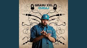 Cameleonică, nonconformistă și cu multe idei, delia își surprinde din nou fanii cu o imagine complet neasteptată. Full Option Grasu Xxl Feat Maximilian Swamp Shazam