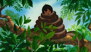 the jungle book disney cartoon zeichnen zeichnen schlange