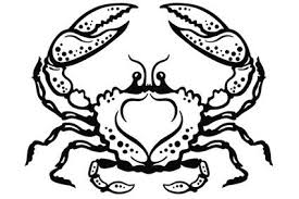 Zodiac cancer tattoos for females can be inked on the shoulder. Cancer Zodiac Tattoo Lovetoknow