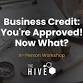 Business Credit: You're Approved! Now What?
