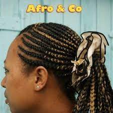 Elegant Coiffure Africaine Nancy Cheuveux De L Automne Hiver 2018 2019 Coiffure Coiffureafricaine Hair Styles Hair Afro