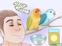 Image result