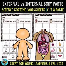 Adding and subtracting integers worksheets in many ranges including a number of choices for parentheses use. Body Parts Sorts Internal Vs External Cut And Paste Worksheets