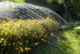 Kaufberatung vergleich testberichte jetzt informieren und kaufentscheidung treffen! Gartenbewasserung Das Solltest Du Dringend Beachten Zuhausewohnen