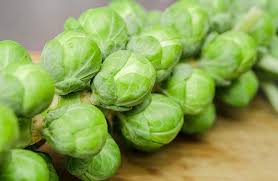 ÖkoTipp: Gemüse der Saison – Rosenkohl