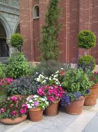 The Rainforest Garden 10 Container Gardening Ideas Potted Plants Outdoor Patio Flowers Garden Containers
