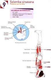 Posture Sur La Tete Salamba Sirsasana Yoga Meditation Yoga Gestion Du Stress