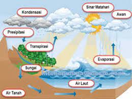 Penguapan atau evaporasi adalah proses perubahan molekul di dalam keadaan cair (contohnya air) dengan spontan menjadi gas (contohnya uap air). Proses Daur Air Pengertian Urutan Tahapan Dan Gambarnya Lengkap