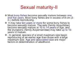 Most investments have a start date and an end date. What Is The Physiological Definition Of Sexual Maturity