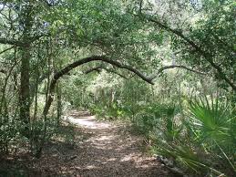 Maybe you would like to learn more about one of these? Fall Events At Camp Bayou Outdoor Learning Center In Ruskin The Observer News South Shore Riverview Sun City Center