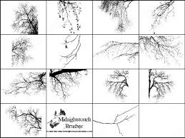 570x568 branch silhouettes photoshop brushes, tree branch photoshop brush. Trees Photoshop Brushes Download 59 Photoshop Brushes For Commercial Use Format Abr