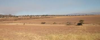 Image result for Periglossum mackenii