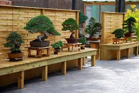 Pin By Les Compagnons Du Bonsai On Bonsai Bonsai Art Bonsai Tree Bonsai Garden