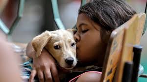 Fourth of July fireworks: Where to watch in metro Phoenix