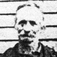 Selestine Whitmer (1850–1916) • FamilySearch