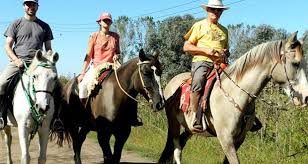 This is an internet slang that describes girls with high waist or pelvic section. Horse Riding Volunteering In Argentina Volunteer In South America