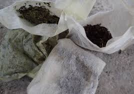 お茶の葉で蚊の幼虫ボウフラを抑制 使用済みの出がらし茶葉を雨水に浸けておけば卵から孵化しない しても成長を邪魔する 蚊ってにしやがれ