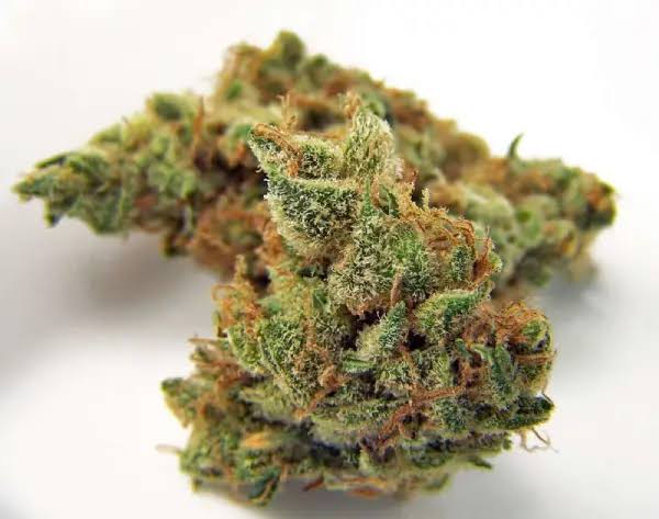 Fleurs de cannabis Northen light fleurs de qualite superieure