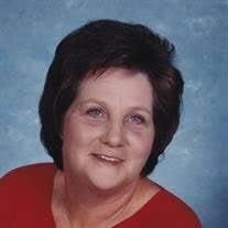 Ilene M. Raber Obituary