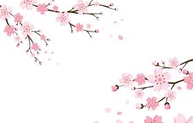 Wallpaper Background Wallpaper Flowers Blossom Background Cherry Texure Images For Desktop Section Tekstury Download Cherry fruit paper, cherry digital paper, cherry print, cherry wallpaper, cherry paper pack, cherry background, cherry pattern. wallpaper background wallpaper